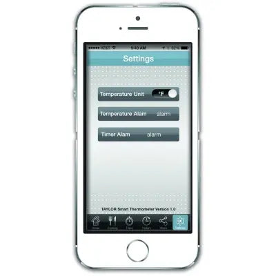 Termómetro Smart Bluetooth