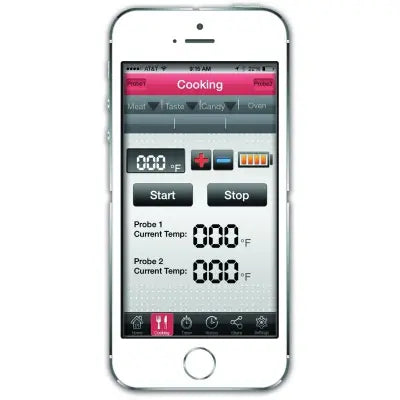 Termómetro Smart Bluetooth