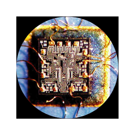 Microscopio Estéreo de Zoom Amscope 2x-225x