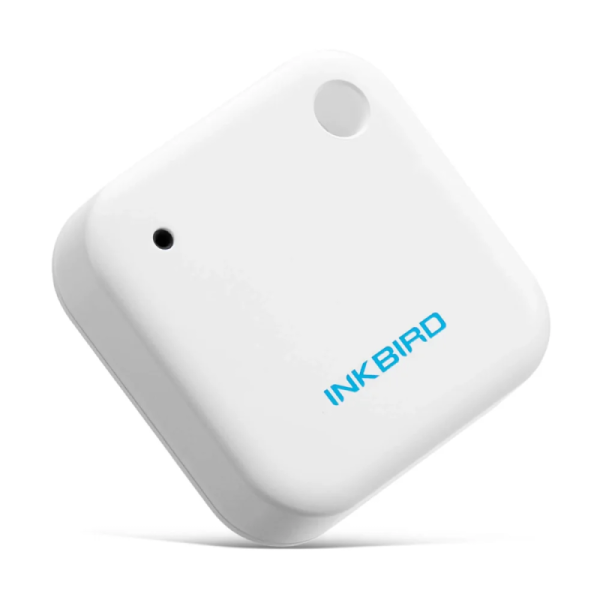 Datalogger Temperatura Bluetooth INKBIRD IBS-TH2-T