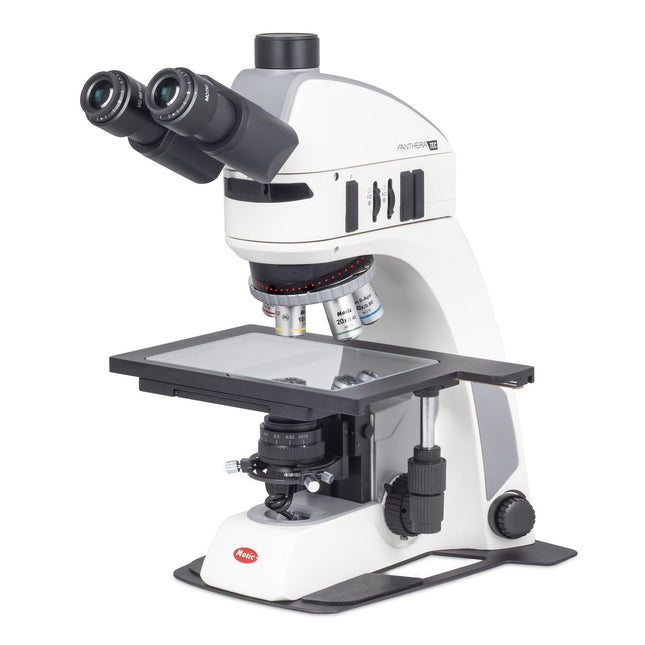 https://cdn.shopify.com/s/files/1/0452/4209/products/MoticPantheraMET1.jpg?v=1601399689