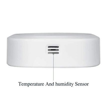 Datalogger Bluetooth de Temperatura y Humedad IBS-TH1-PLUS