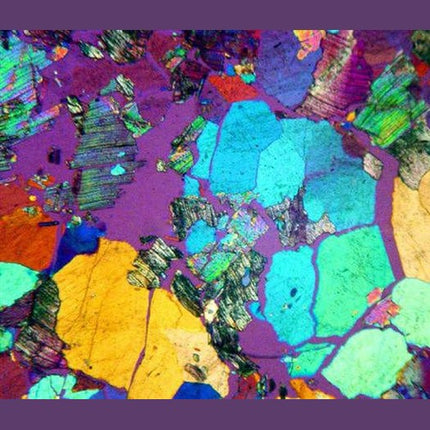 AmScope ME520 Series Infinity-Corrected Darkfield Metallurgical Trinocular Compound Microscope with Polarization and Optional Digital Camera