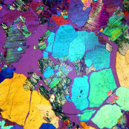 AmScope ME580 Series Compact Trinocular Metallurgical Compound Microscope Dual Illumination Polarized Light w/Optional Digital Camera
