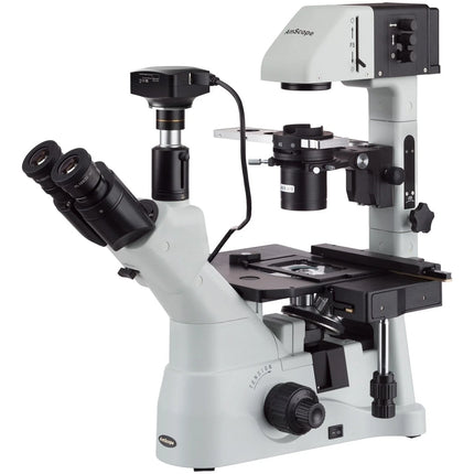 Microscopio Compuesto Invertido 40X-600X