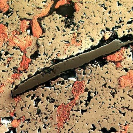 AmScope ME1200 Series Inverted Plan Optics Metallurgical Trinocular Compound Microscope with Optional Digital Camera